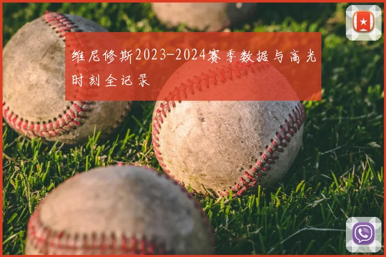 维尼修斯2023-2024赛季数据与高光时刻全记录